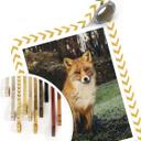 Póster fox 01