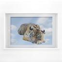 Cuadro de ventana Resto real Tigre