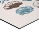 Billede Filigran alger og skaller - casa cartissi – print på aluminium (Alu-Dibond)