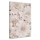 Lienzo 1X Estudio - Aster Apricot