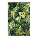 Póster de tela con plantas de la jungla - Jaszke