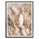 Plakat - Annie - Pumpkin Grass