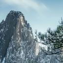 Fototapet fyrreskov i Huang Shan-bjergene - NingYun Ye