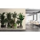 Fotomural Paredes de Patel 3 Plant Shop 1 verde, beige, gris, negro