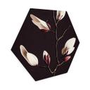 Hexagon Dibond Treechild - Magnolia Blossoms