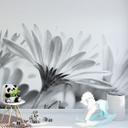 Fototapet Daisy i detaljer - 240x260 cm
