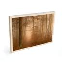 Cuadro de madera bruma y luz en el bosque otoñal - Maier