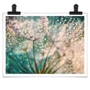 Plakat - Delgado - Glittery Dandelions