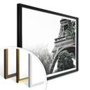 Póster Niebla en París