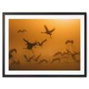 Póster Rosenblatt - Bandada de pájaros al amanecer