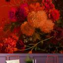 Livingwalls Fototapet Walls by Patel Vibrant 1