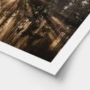 Póster sobre la naturaleza Rayos de luz en el bosque - Eisenmann