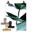 Plakat - Urban Jungle - Monstera Deliciosa