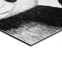 Vægmaleri vinkende panda - Korenkova – print på aluminium (Alu-Dibond)