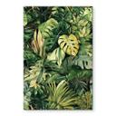 Billede af jungleplanter - Jaszke – print på aluminium (Alu-Dibond)