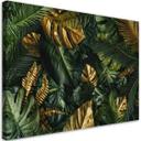 Canvasbillede, Tropiske monstera blade planter