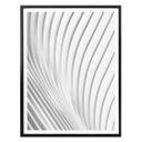 Plakat - Budny - Harmoniske linjer