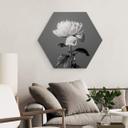 Hexagone - alu-Dibond 1X Studio - Pivoine noir et blanc