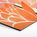 Hexagon Dibond Farverige lotusblomster - Kubistika