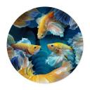 Póster Egger - Peces de colores - Redondo