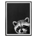 Póster Graves - Racoon