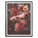 Plakat - Annie - Sommerblomster