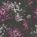 A.S. Creation blomstret tapet i lilla og sort blomstret tapet i mat non-woven tapet
