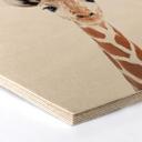 Hexagon Hout Sisi & Seb - Baby Giraffe