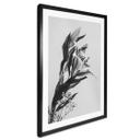 Póster Jo - Lirio encantador en blanco y negro