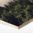 Hexagon Hout Mistig Bos