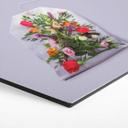 Hexagon Dibond Loose - Flower Tea