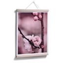 Plakat - Blomsterknopper