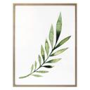 Plakat - Kvilis - Palm Leaf