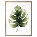 Plakat - Kvilis - Monstera leaf