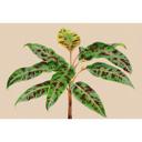 Livingwalls photo wallpaper Walls by Patel 3