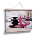 Orquídea de póster