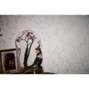 Livingwalls papier peint intissé Metropolitan Stories papier peint Lola Paris mauve;blanc