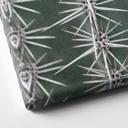 Lienzo 1X Estudio - Cactus