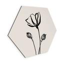 Sekskantet Billede Line Art Poppy - Cats & Dotz - aluminium dibond