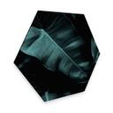 Hexagon Dibond Kubistika - Jungle