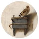 Fabritius Wallsticker - Guldfinken - Rund
