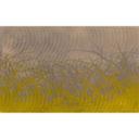 Architects Paper Papier peint photo Atelier 47 Thorn hedge graphique