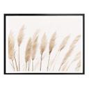 Póster Sisi & Seb - Pampas