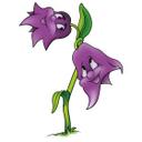 Klokkeblomsterne