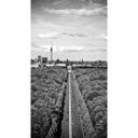 Fototapet Himlen over Berlin - 144x260 cm