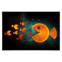 Poster - Ianeva - Sweet Carrot