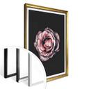 Póster Premium Flor Rosa Sueño 02