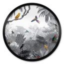 Póster Kikki Belle - Aves tropicales blanco y negro - Redondo