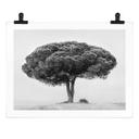 Póster Martin - Árbol en blanco y negro