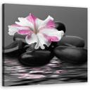 Canvasbillede, sten pink blomst Zen